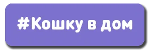 кошку-в-дом-min.png